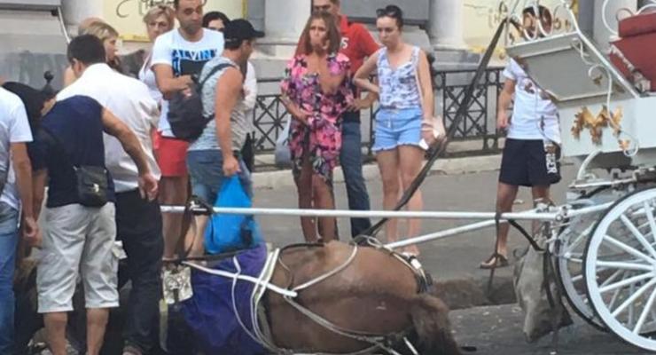 В Одессе лошадь упала в обморок от жары