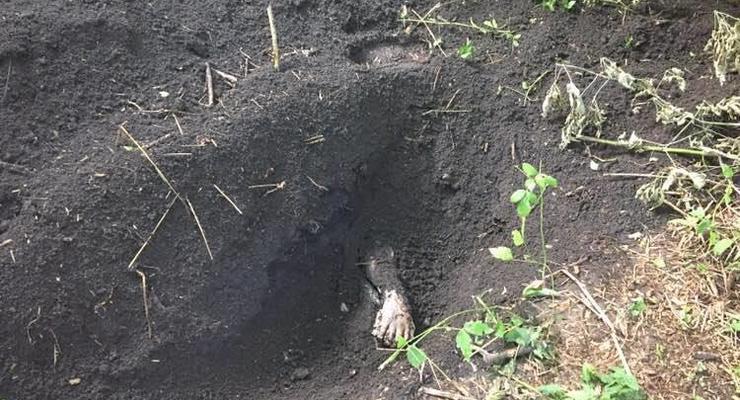 Житель Одесской области убил соседа и закопал вместе с велосипедом