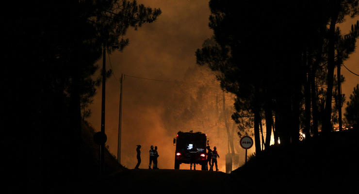 В Португалии в результате лесных пожаров пострадали 45 человек
