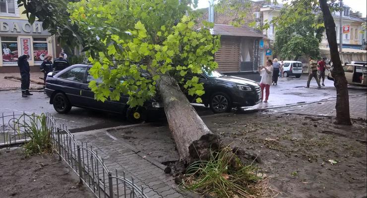 В Херсоне непогода повалила деревья и превратила дороги в бурные реки