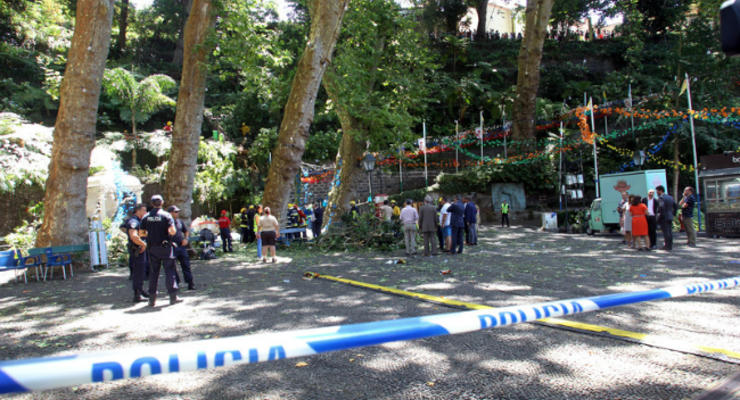 На острове Мадейра упало огромное дерево: погибли 11 человек