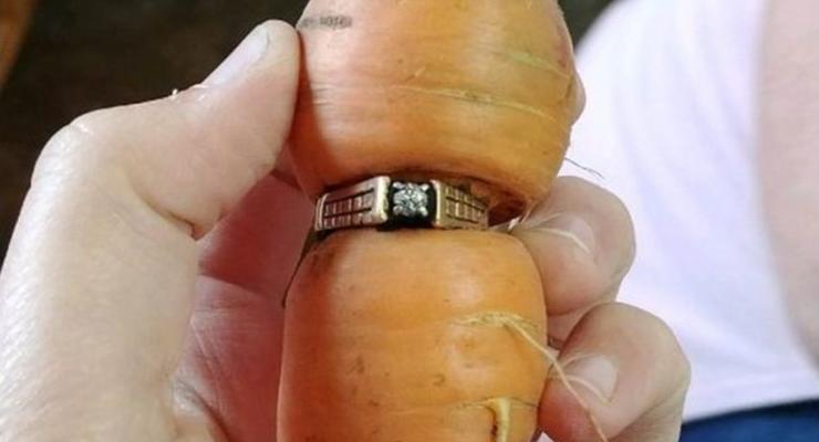 Потерянное кольцо "выросло" на морковке спустя 13 лет