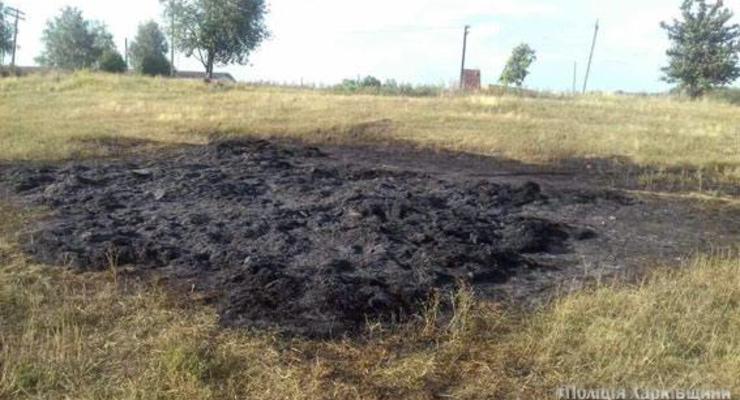 На Харьковщине 6-летний мальчик сгорел в стоге сена