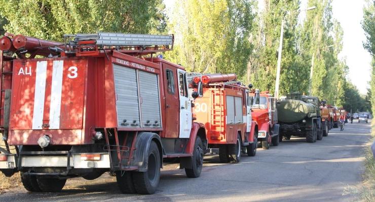 В Запорожье на Хортице ликвидировали лесной пожар