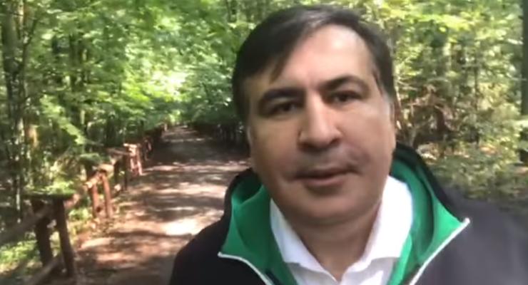 Саакашвили из леса рассказал, что получил предложения о гражданстве