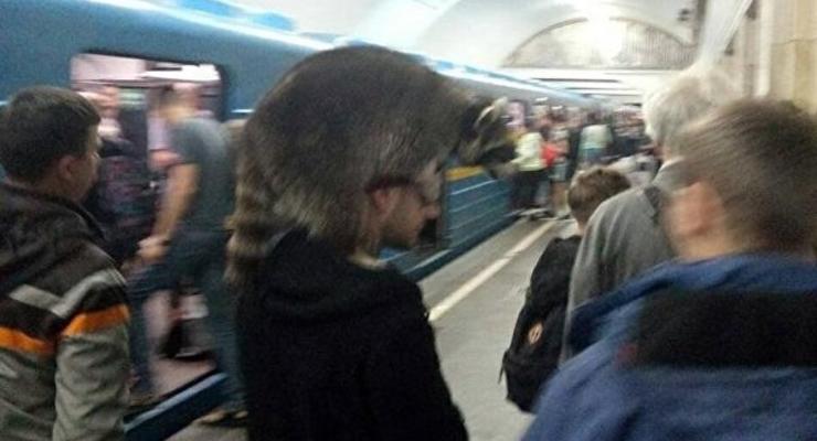 Пассажир киевской подземки вместо шапки надел енота