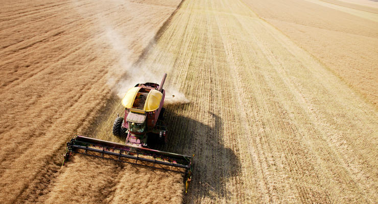 Россия может побить абсолютный рекорд СССР по урожаю зерна