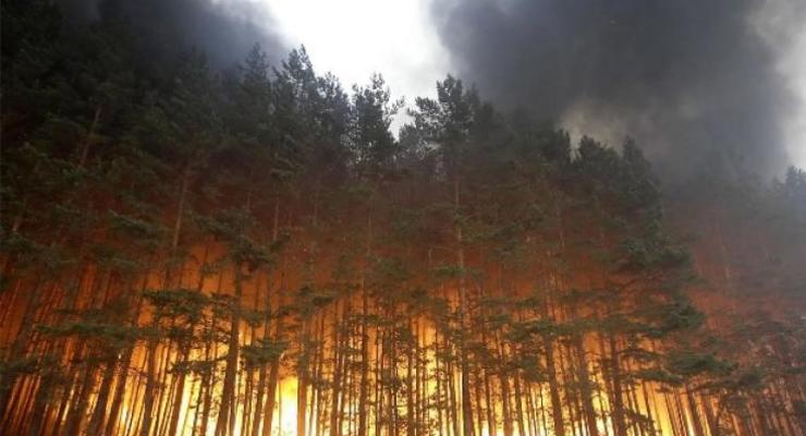 Спасатели предупредили о пожарной опасности в восьми областях Украины