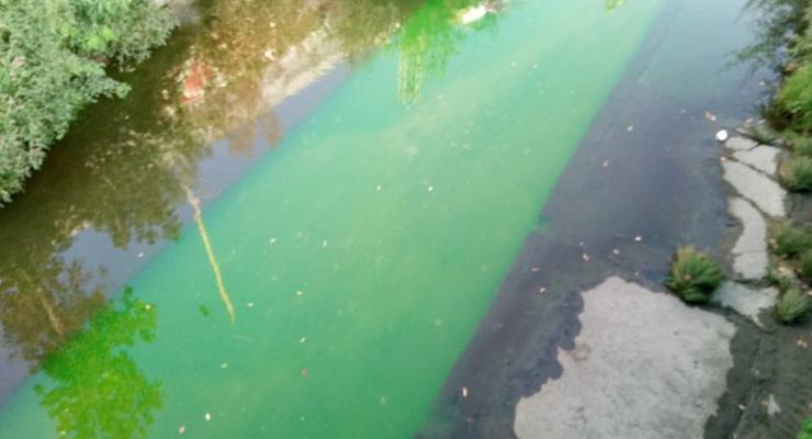 В Киеве вандалы окрасили реку Лыбедь в зеленый цвет