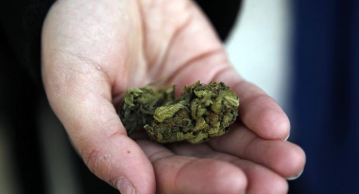 В Канаде полиция просит отсрочить легализацию марихуаны