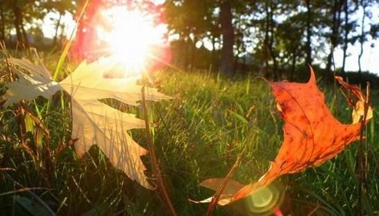 В Киеве побит очередной температурный рекорд