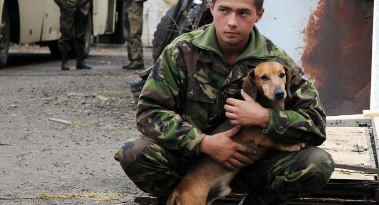В Украине создали реестр суицидов среди воинов АТО - Богомолец