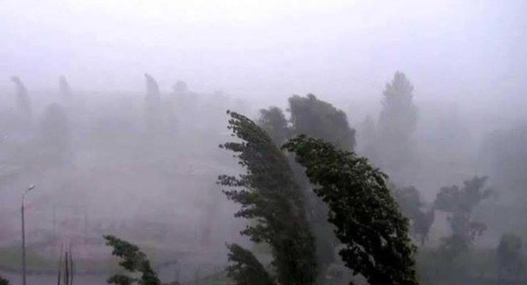Ураган в Закарпатье: убытки на десятки миллионов