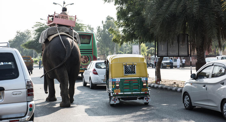На Шри-Ланке слон перевернул прогулочный транспорт
