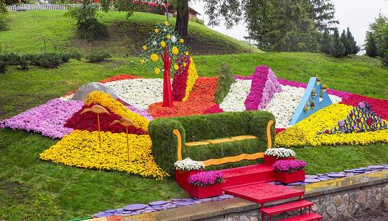 В Киеве на Певческом поле открылась выставка хризантем