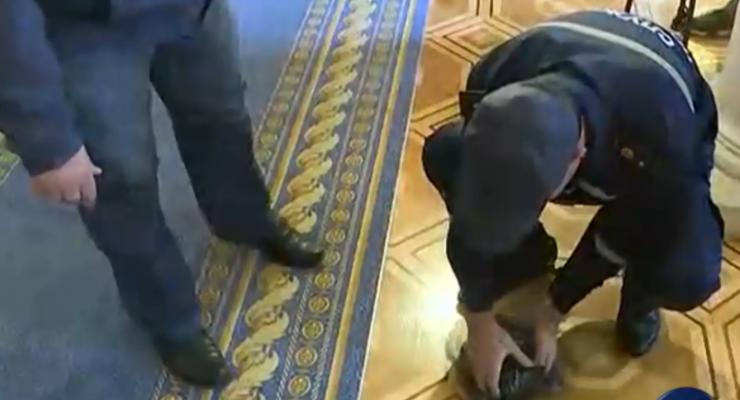 Левченко бросил дымовую шашку в здании парламента
