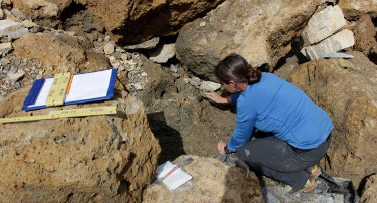 В Альпах нашли ящик с мукой, которой 4 тысячи лет