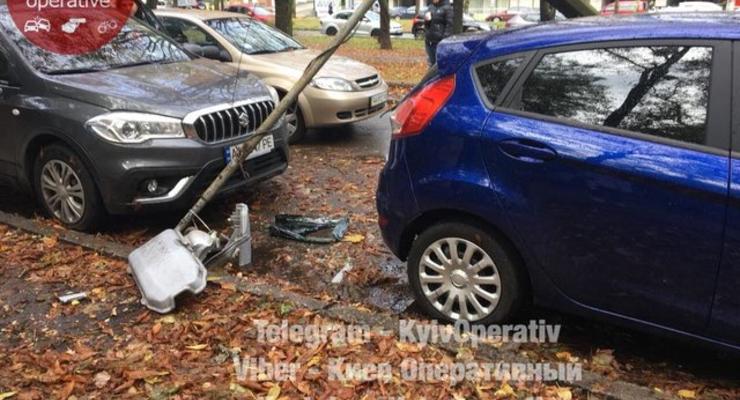 В Киеве под тяжестью деревьев на дорогу упал столб