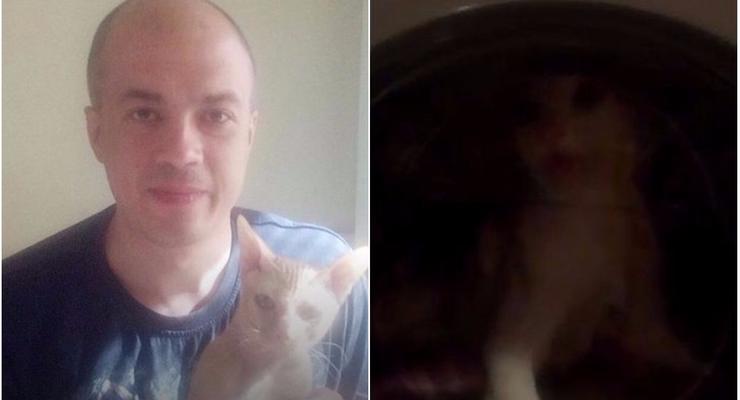 Россиянин снял на видео убийство кота в стиральной машине