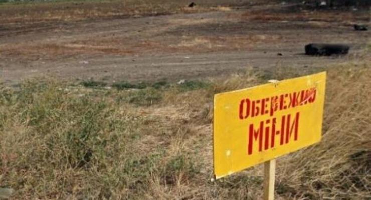 В Донецкой области 34-летняя женщина подорвалась на растяжке