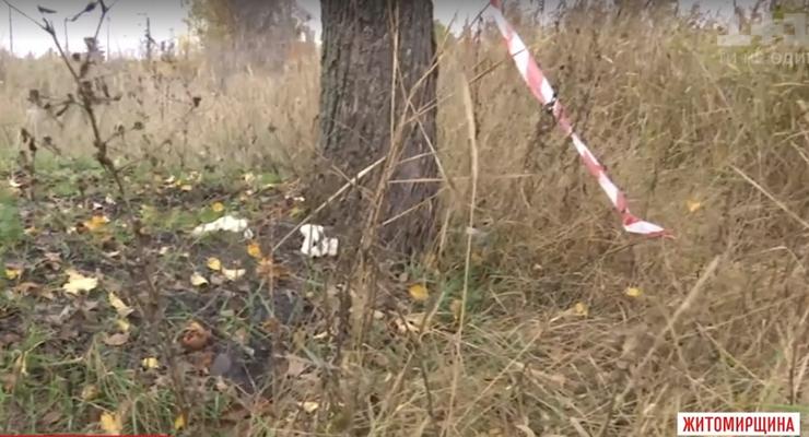 В Житомирской области девушку до полусмерти избили знакомые за долг в 500 гривен