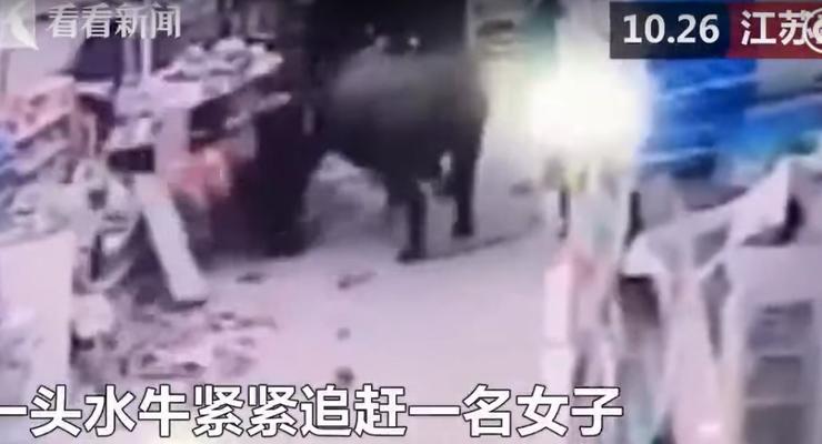 В Китае буйвол разгромил супермаркет, травмировав посетителей