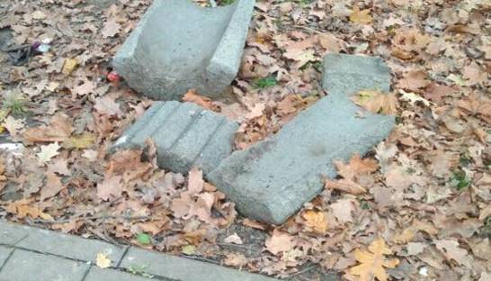 В столичном парке вандалы разбили мусорные урны