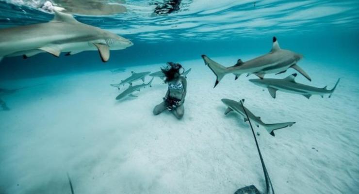 Я люблю акул: 24-летняя австралийка показала уникальные фото