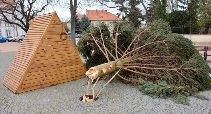 Ветер сломал главную рождественскую елку в словацком городе