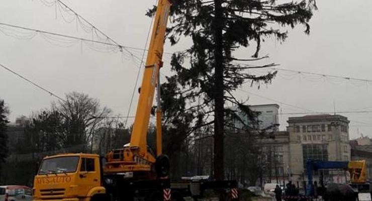 Кишиневу вернут деньги за поломанную елку из Украины