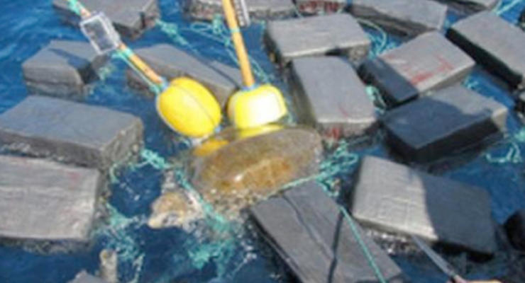Моряки спасли черепаху, которая застряла в 800 кг кокаина