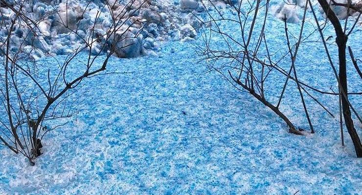 В Петербурге выпал синий снег