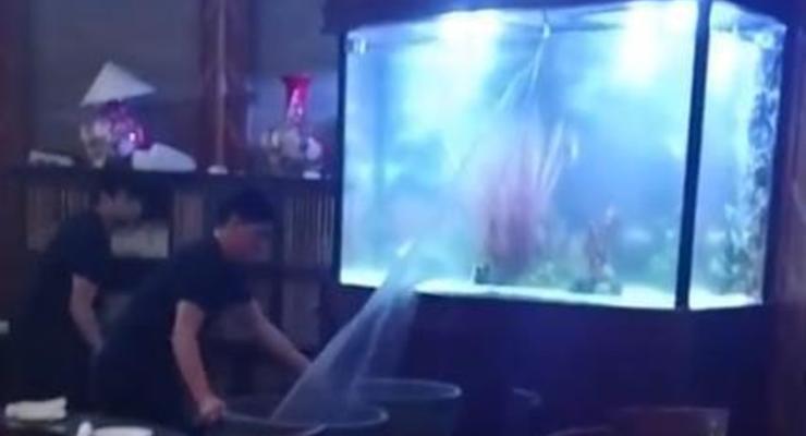 В США треснувший аквариум затопил ресторан