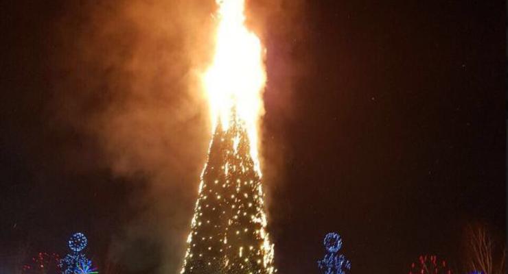 Раз, два, три: в одном из городов РФ сожгли главную елку