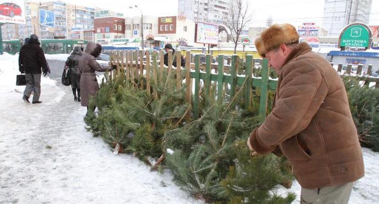 На ликвидацию елок в Киеве потратят 300 тыс. грн
