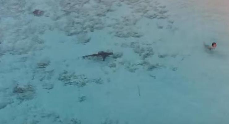 Мальчик на Багамах чудом спасся от четырех акул