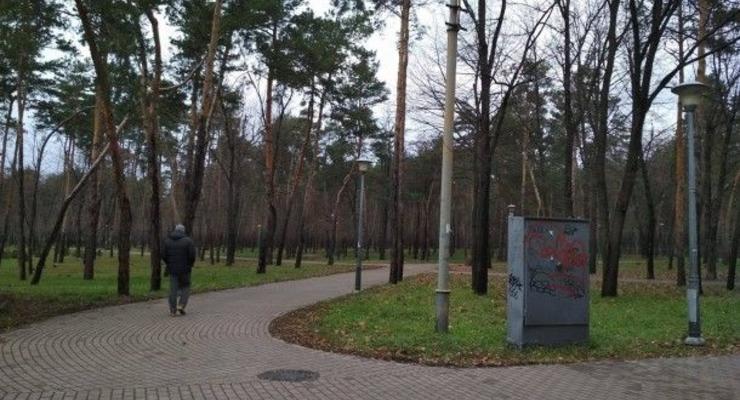 В Киеве мужчина и женщина пытались ограбить туалет в парке