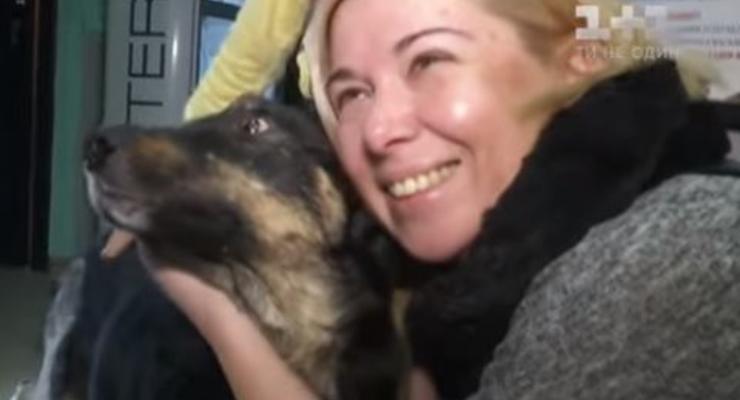 Киевлянка через соцсети нашла собаку, пропавшую 5 лет назад