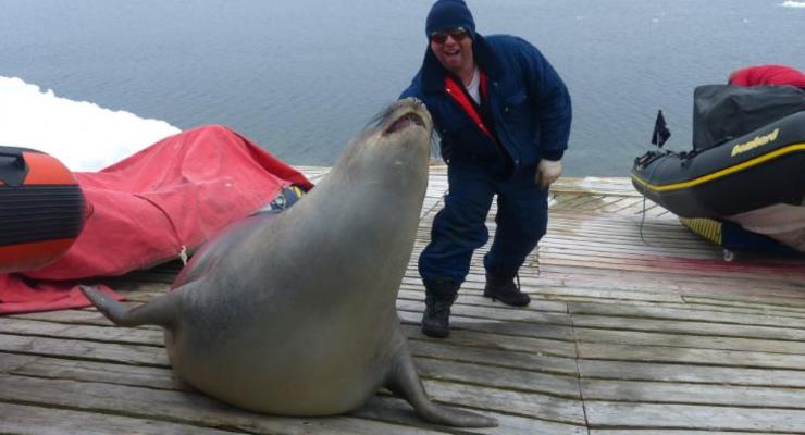 Морской слон приплыл к украинским полярникам и уснул