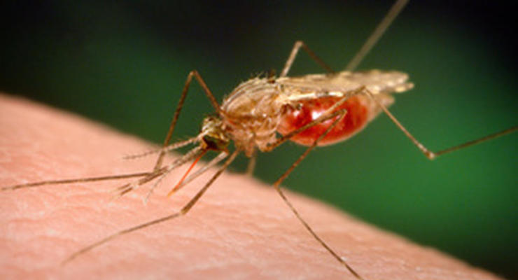 В Харькове зафиксировали случай заболевания малярией