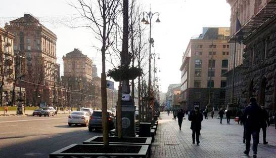 В центре Киева высадили экспериментальные деревья