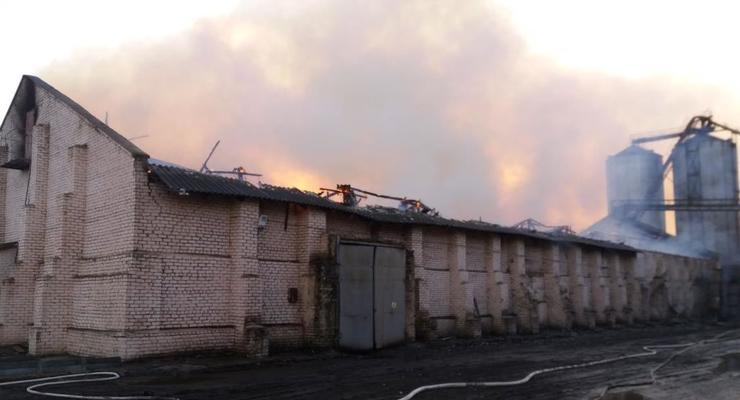 В Николаевской области загорелся маслозавод
