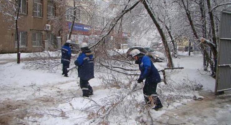 В Москве упавшие при снегопаде деревья разбили более 200 авто