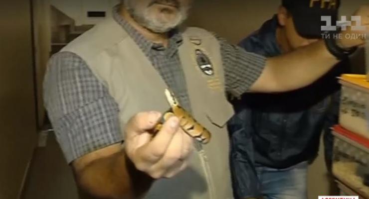 Аргентинец хранил в своей квартире более 200 змей
