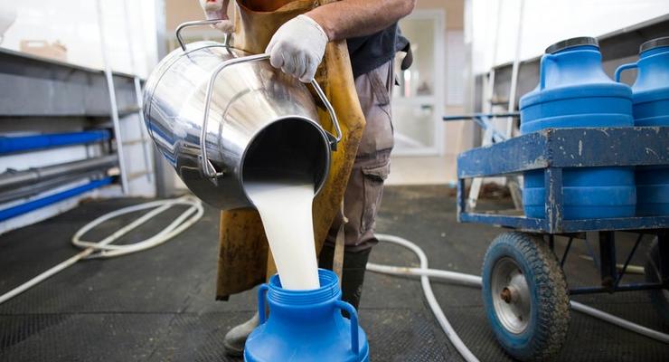 В России запретили белорусские молочные продукты