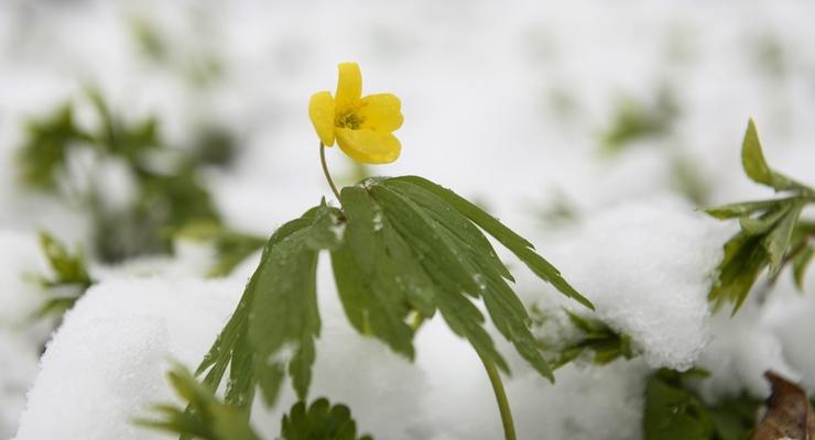 Погода 8 марта: в Украине должно потеплеть