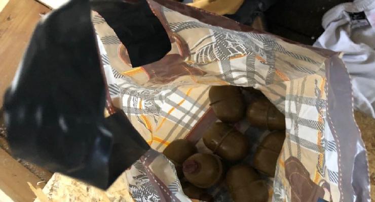 Зачистка Михомайдана: найдено 9 гранат, свыше 100 задержанных