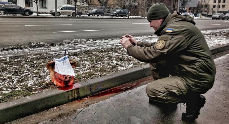 К посольству РФ в Киеве принесли голову свиньи