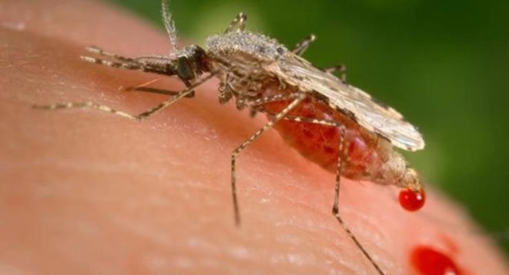 В Харьковской области зафиксировали малярию