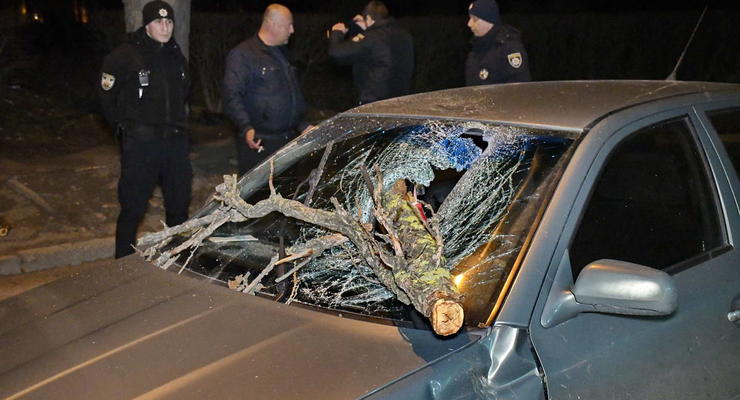 Ураганная ночь в Киеве: деревья разбили авто и балконы